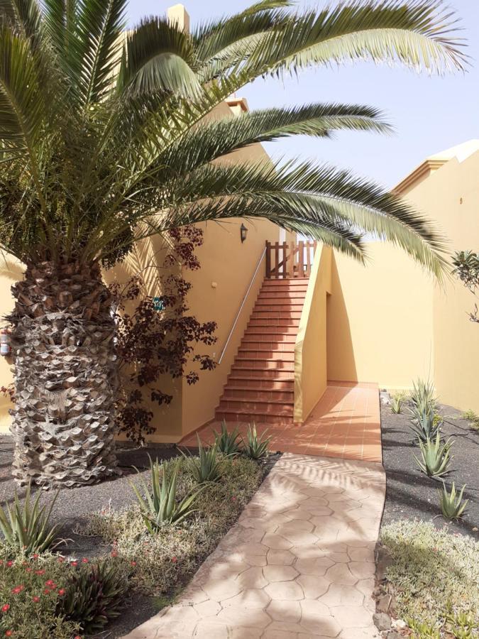 Oasis Waves House Papagayo Apartment Corralejo Bagian luar foto