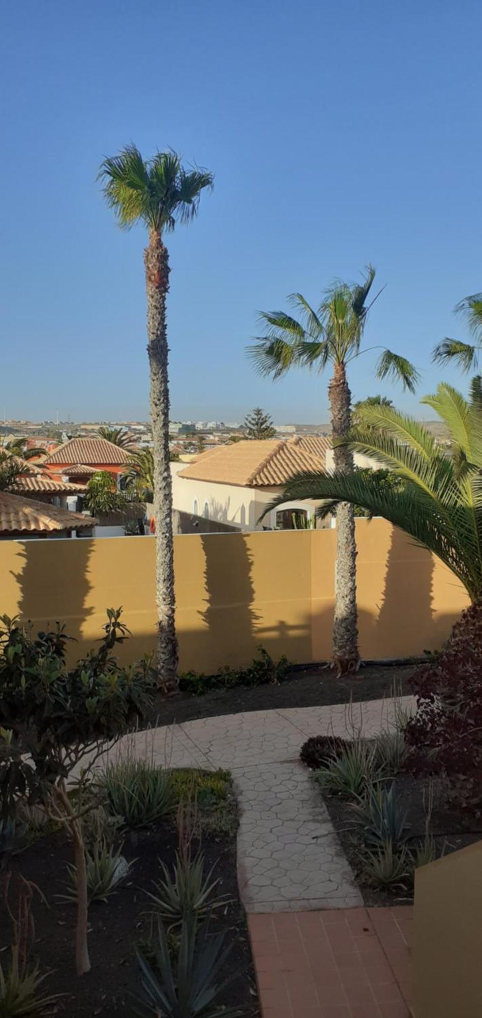 Oasis Waves House Papagayo Apartment Corralejo Bagian luar foto