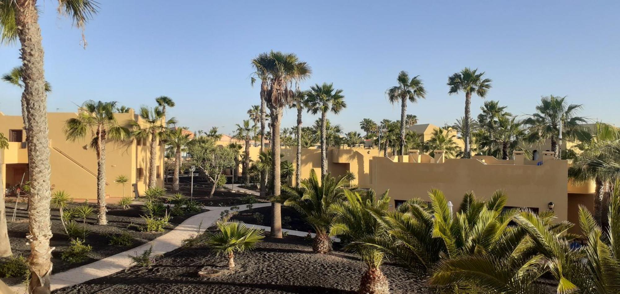 Oasis Waves House Papagayo Apartment Corralejo Bagian luar foto