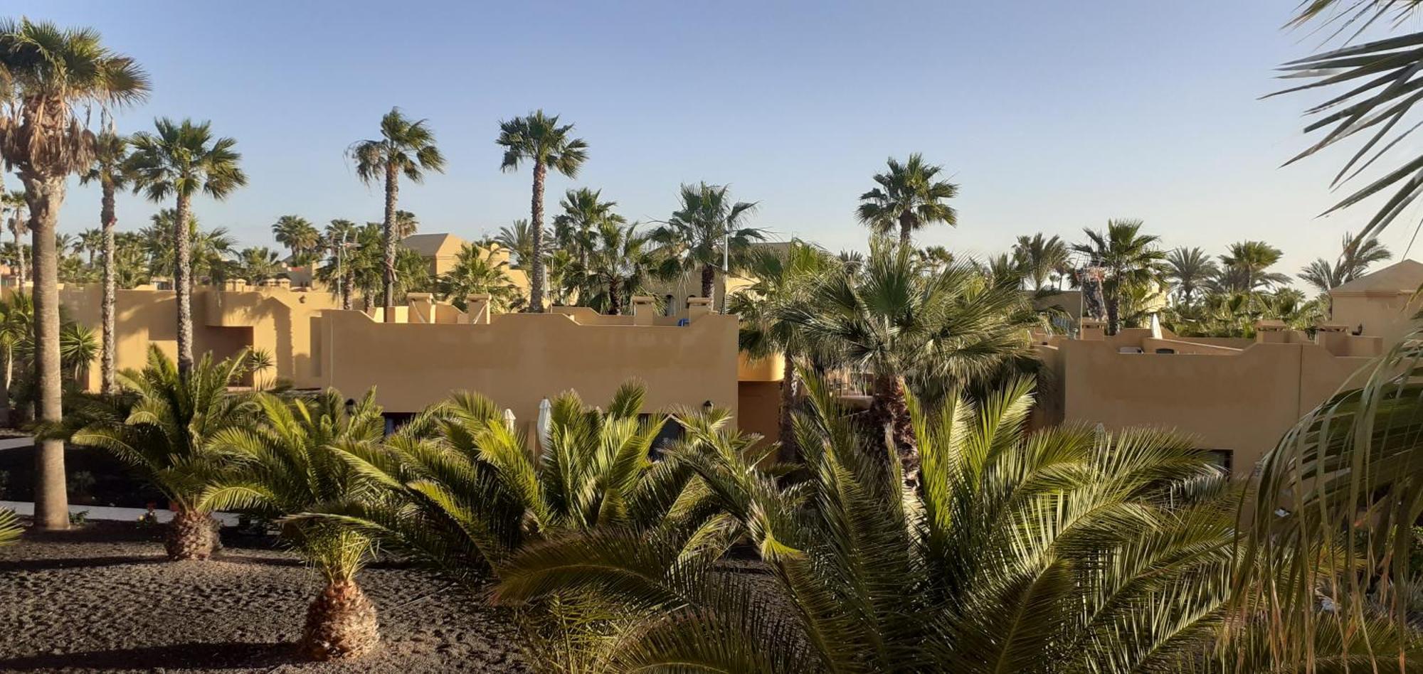 Oasis Waves House Papagayo Apartment Corralejo Bagian luar foto